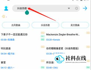 歌词适配app