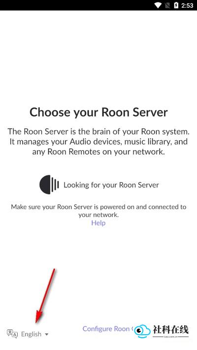 Roon音乐播放器图片1