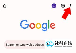 Chrome怎么设置中文1