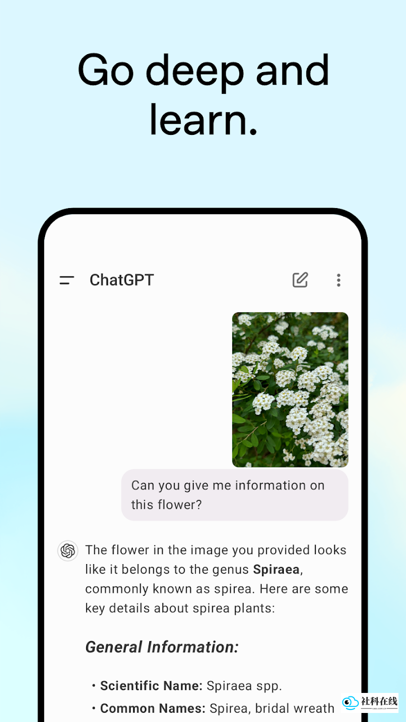 chatgpt4.0国外版