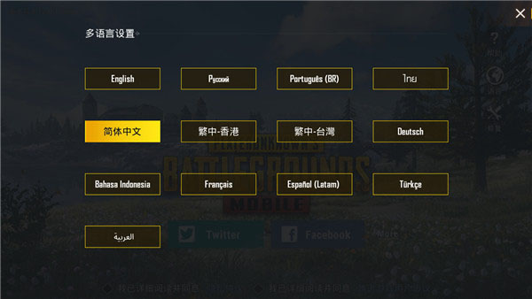 地铁逃生国际服pubg