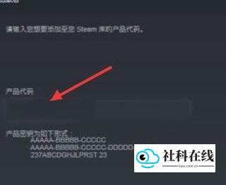 steam