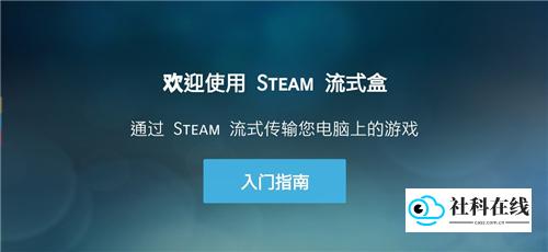 Steam Link