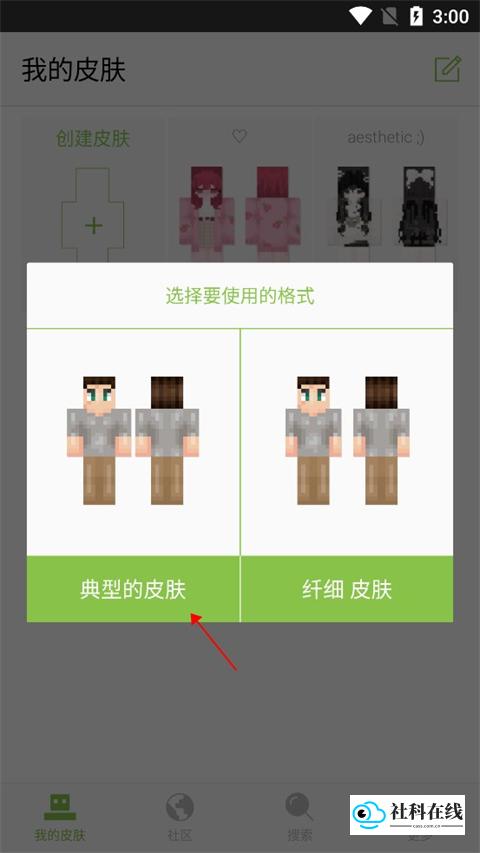 选择皮肤格式