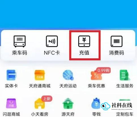 充值界面截图