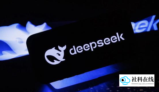 DeepSeek满血版界面