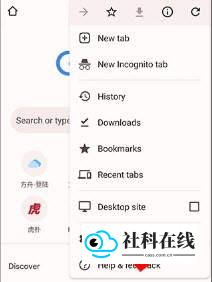 谷歌浏览器金丝雀版