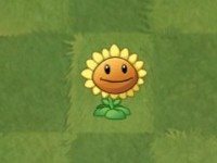 植物大战僵尸亚马逊版