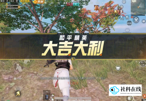熊二直装