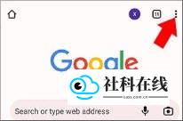 谷歌浏览器金丝雀版
