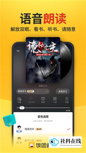 饭团追书