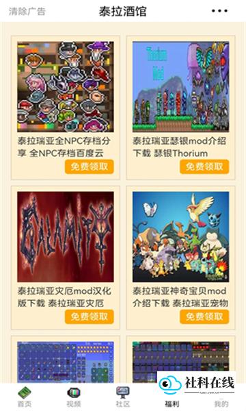 泰拉瑞亚酒馆