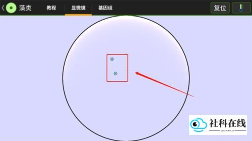 细胞实验室