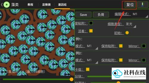 细胞实验室
