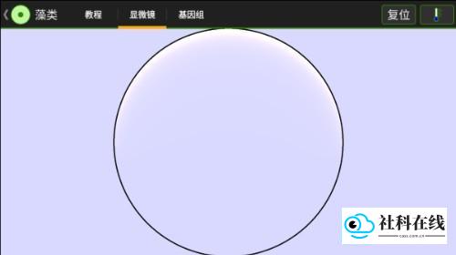 细胞实验室