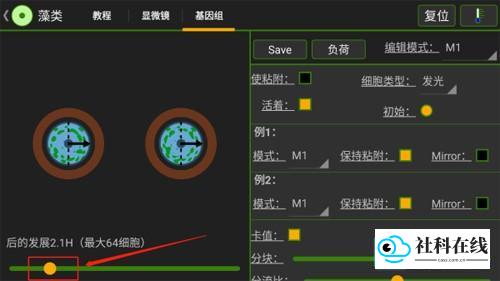 细胞实验室