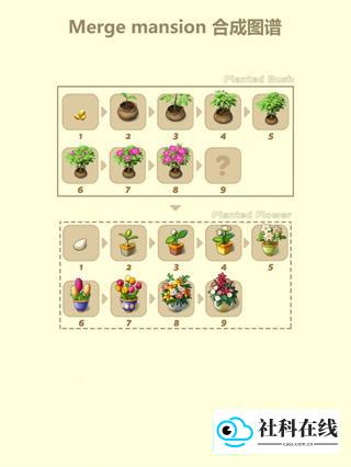 合成图鉴:热带植物