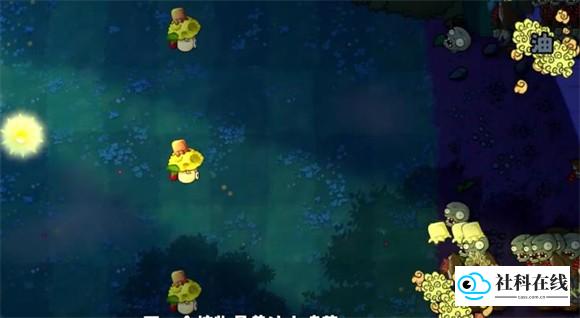 植物大战僵尸无双版