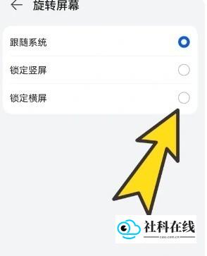 波波浏览器手机版