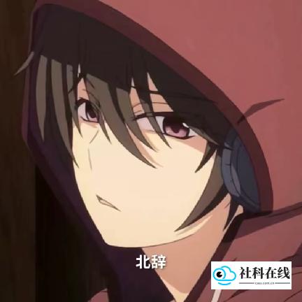 北辞弱网