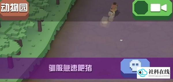 疯狂动物园免费版核心玩法3