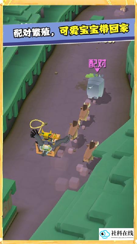 疯狂动物园免费版