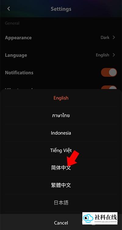 步骤4：选择简体中文