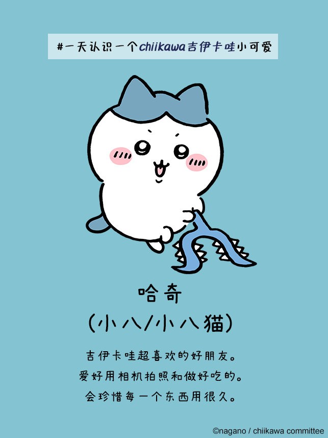 口袋吉伊卡哇日服角色小八