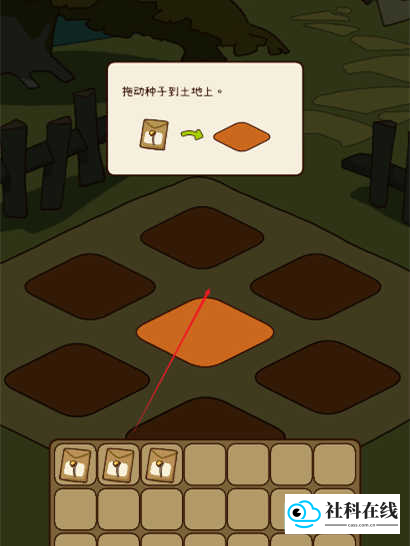 有机蔬菜农场