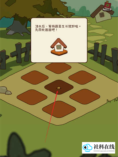 有机蔬菜农场