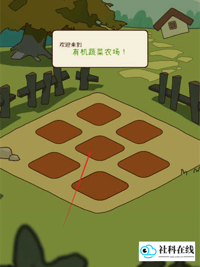 有机蔬菜农场