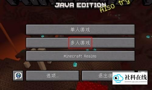 多人游戏