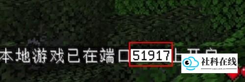 端口号显示