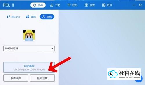选择版本