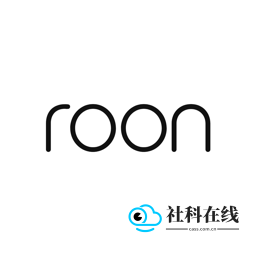 roon音乐