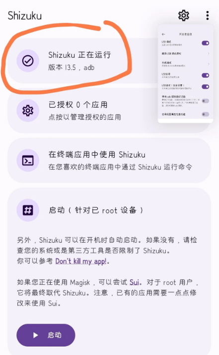 启动成功界面