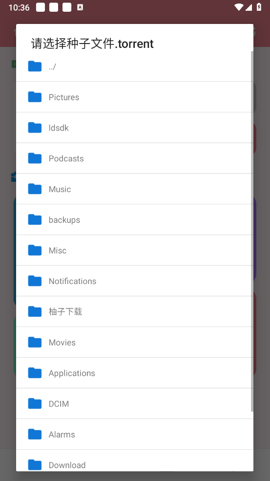 柚子下载器