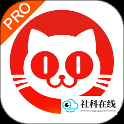 猫眼专业版实时数据