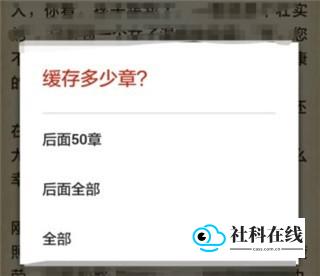 缓存选项示例