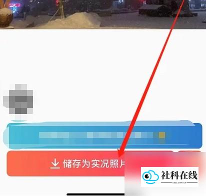 intolive保存实况照片