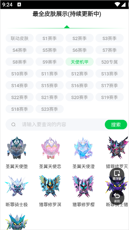 皮肤详情