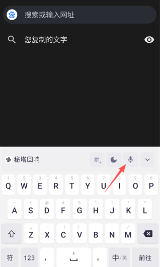 秘塔回响