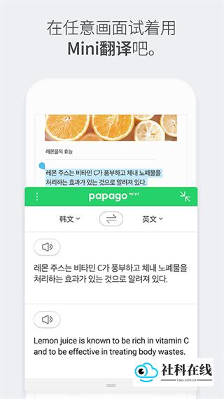 中韩互译翻译器