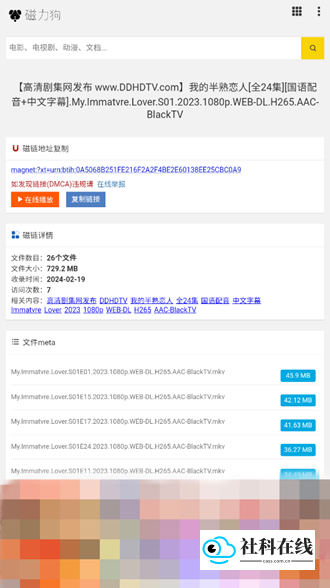 磁力狗