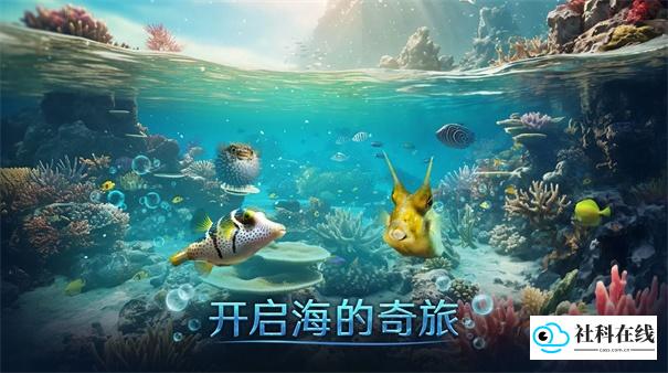 小小水世界中文版