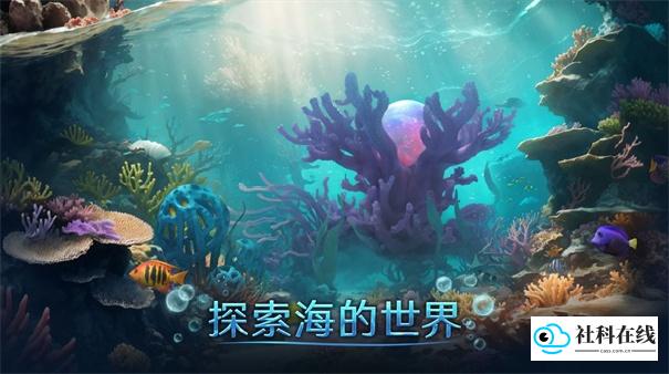 小小水世界中文版