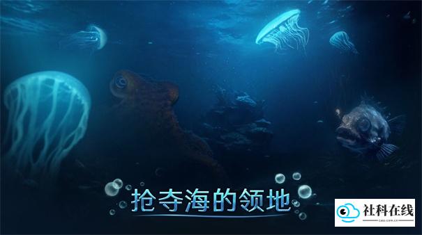 小小水世界中文版