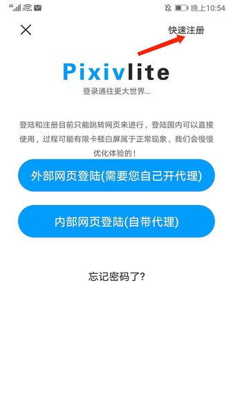 P站助手Lite直装版