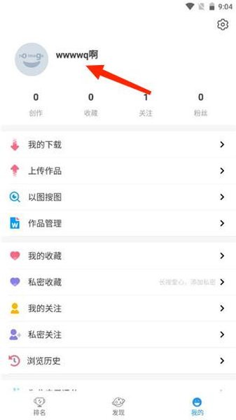 P站助手Lite直装版