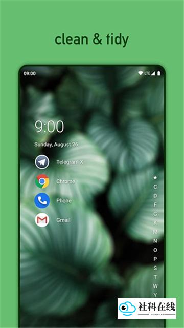 niagara launcher